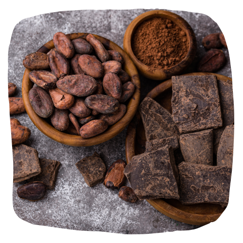 Cacao processing Garden of Dreams Image 500 x 500 (2)