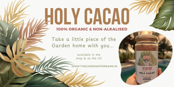 Garden of Dreams Holy Cacao Advert Feature Image 600 x 300 Holy cacao the garden of dreams arambol north goa